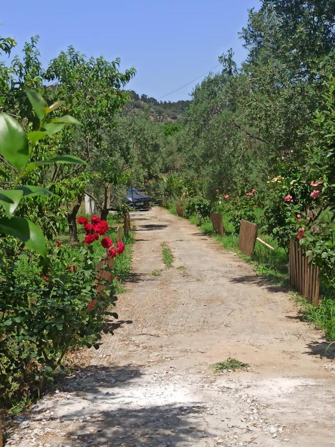 Sol'S Place Μυτιλήνη Εξωτερικό φωτογραφία